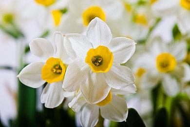 《NBA 2K22》第8季发布